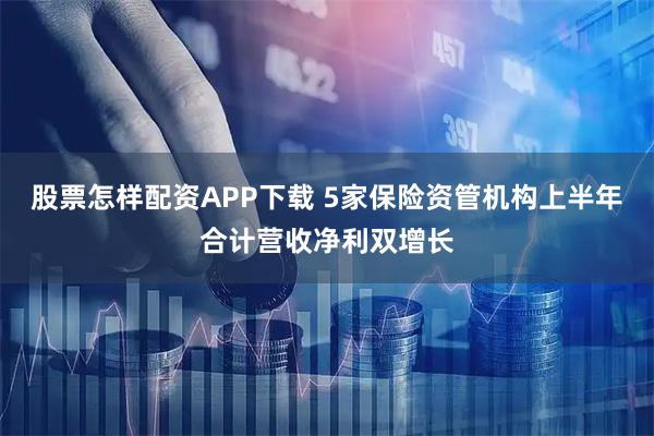 股票怎样配资APP下载 5家保险资管机构上半年合计营收净利双增长