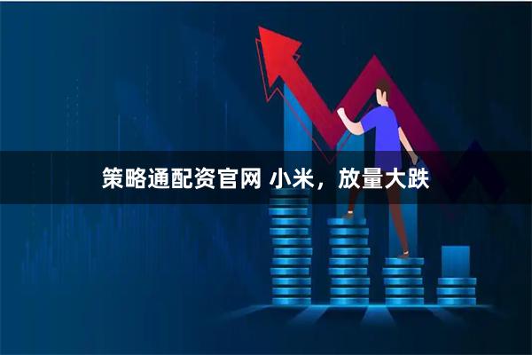 策略通配资官网 小米，放量大跌