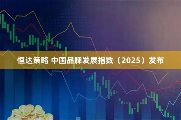 恒达策略 中国品牌发展指数（2025）发布