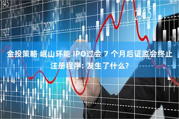 金投策略 岷山环能 IPO过会 7 个月后证监会终止注册程序: 发生了什么?