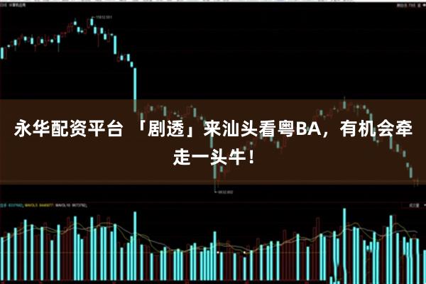 永华配资平台 「剧透」来汕头看粤BA，有机会牵走一头牛！